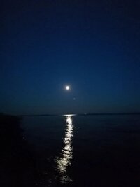 IMG_20260725_220235_793.jpg