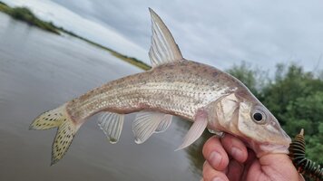 20260726_093633.jpg