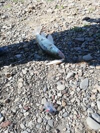 IMG_20260726_160758.jpg