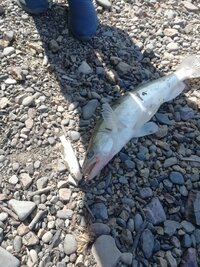 IMG_20260726_160750.jpg