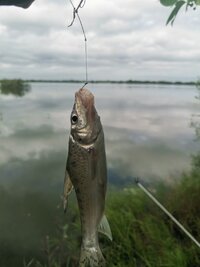 IMG_20260725_113517.jpg