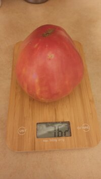 IMG_20250813_205815.jpg