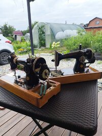 IMG_20260728_145424.jpg
