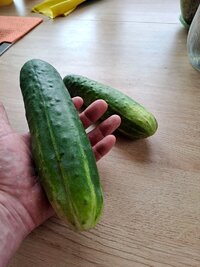 20260728_155423.jpg