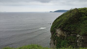 IMG_20260728_120724.jpg