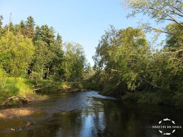 IMG_1031.JPG