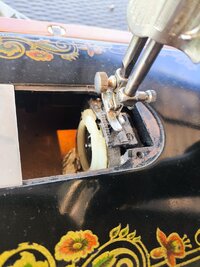 IMG_20260729_124539.jpg