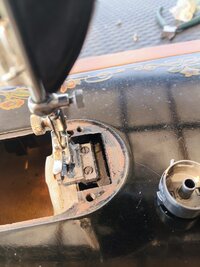 IMG_20260729_125344.jpg