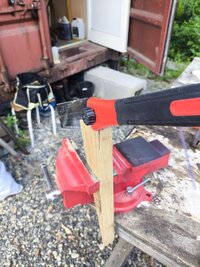 IMG_20260729_132956.jpg