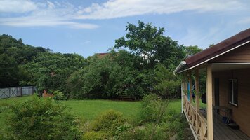 IMG_20260729_155431.jpg