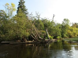 IMG_1030.JPG