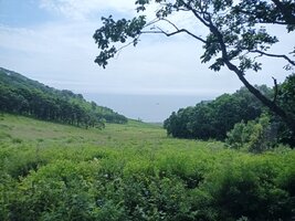 IMG_20260730_122847_678.jpg
