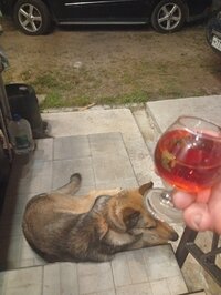 IMG_20260730_230451.jpg