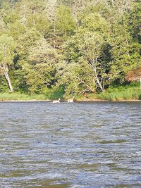 IMG_20260730_185244.jpg