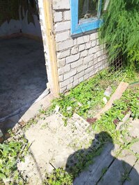 IMG_20260801_115248.jpg