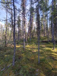 IMG_20260801_161923.jpg