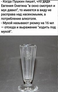 1784621026544.jpeg