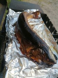 IMG_20260802_200420.jpg