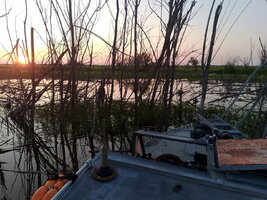 IMG_20260801_202255.jpg