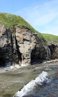 IMG_20260804_192210.jpg
