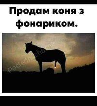 хш.jpg
