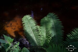 aq51EUTG8MVhDYMT3ETlqIKn-iykX81WHZ_nU61zvX9z1q1bw3efl4YnG_DORCfbAzD2Y0J0E6zsD1bFUP2z0-qg.jpg
