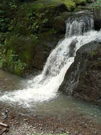 IMG_20260805_141813.jpg