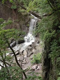 IMG_20260805_141614.jpg