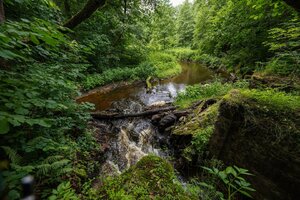 tRGbZKTxgf-FN0dcmi7R-AkHJZjk2BBfFdB98Un_Ykflk6KRgMyldN00AJwyDq9VzQtrGnOxt1Gxfja79RDEJnxw.jpg