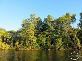 IMG_1080.JPG
