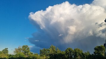 20260808_192956.jpg