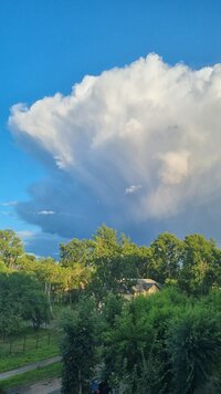 20260808_193002.jpg