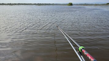 IMG_20260809_100230.jpg