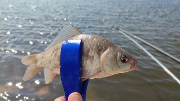 IMG_20260809_103504.jpg