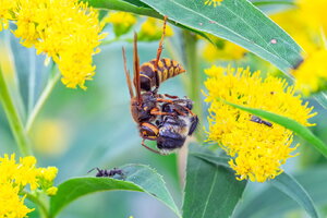 DSCF3082.jpg