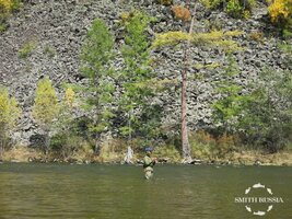 IMG_7352.JPG