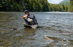 _DSC2096.jpg