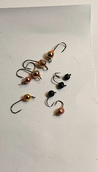 20260403_204009.jpg