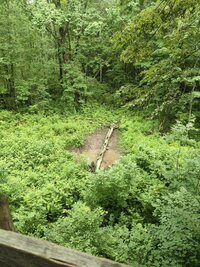 IMG_20260707_190638.jpg
