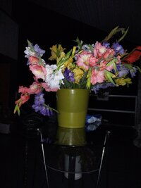 IMG_20260808_222503.jpg