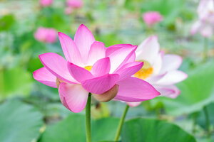 DSCF3280.jpg