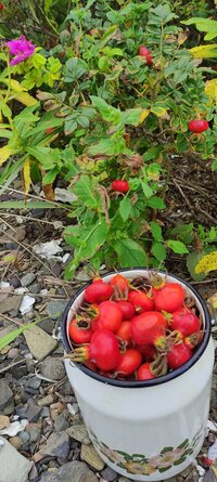 IMG_20260814_110435.jpg