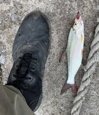IMG_8903.jpeg