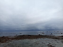 IMG_20260815_143459.jpg