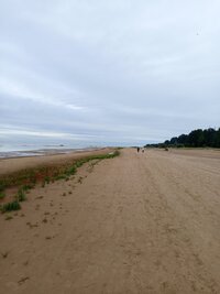 IMG_20260815_165621.jpg