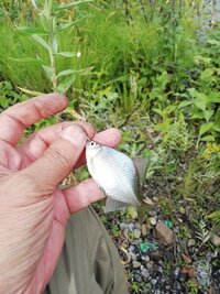 IMG_20260816_105832.jpg