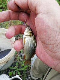 IMG_20260816_110636.jpg