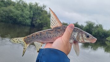 20260816_093544.jpg