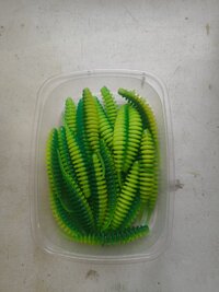 IMG_20260818_074856414.jpg