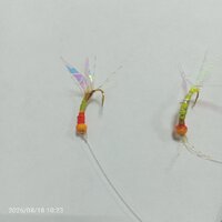 IMG_20260818_102332_328.jpg